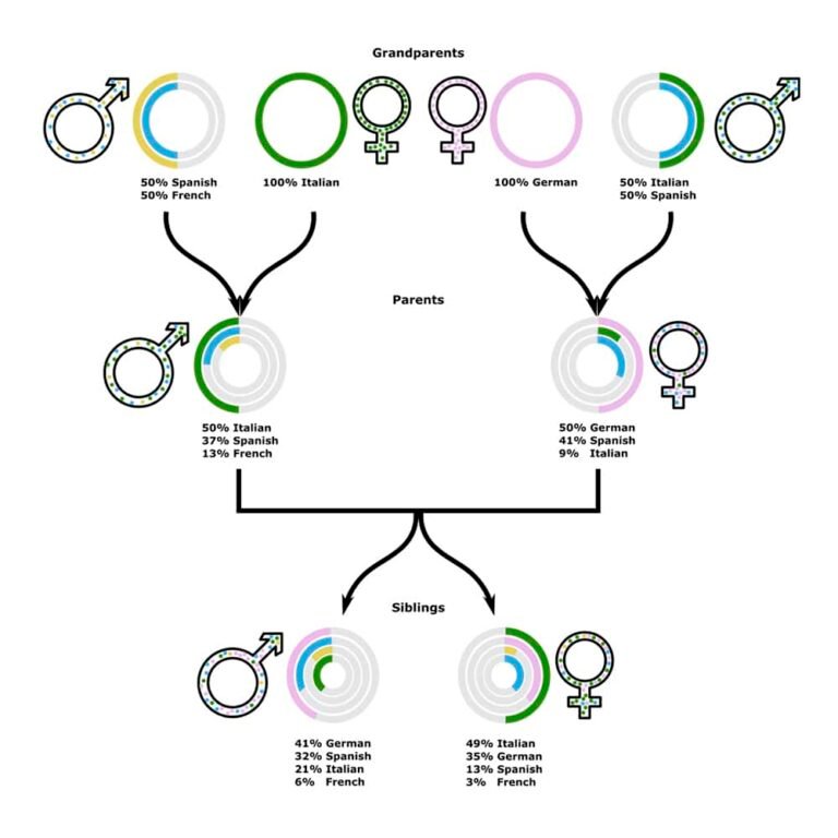 Cómo Saber Mi Origen Étnico Guía para Descubrir Tus Raíces Familiares