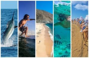 que actividades imperdibles puedes hacer en los cabos