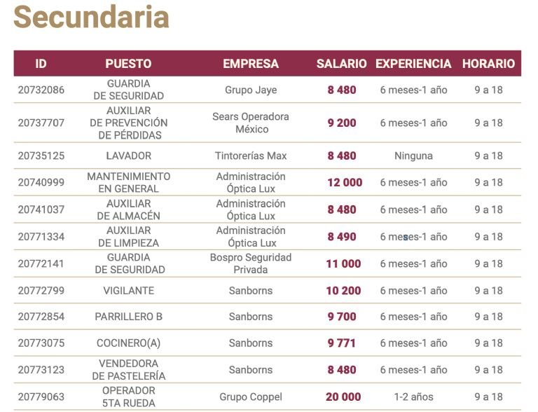 Qué trabajos pueden hacer jóvenes con secundaria terminada en CDMX